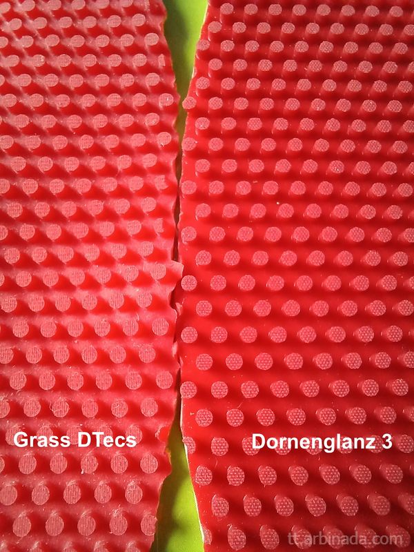 Grass DTecs vs Dornenglanz 3